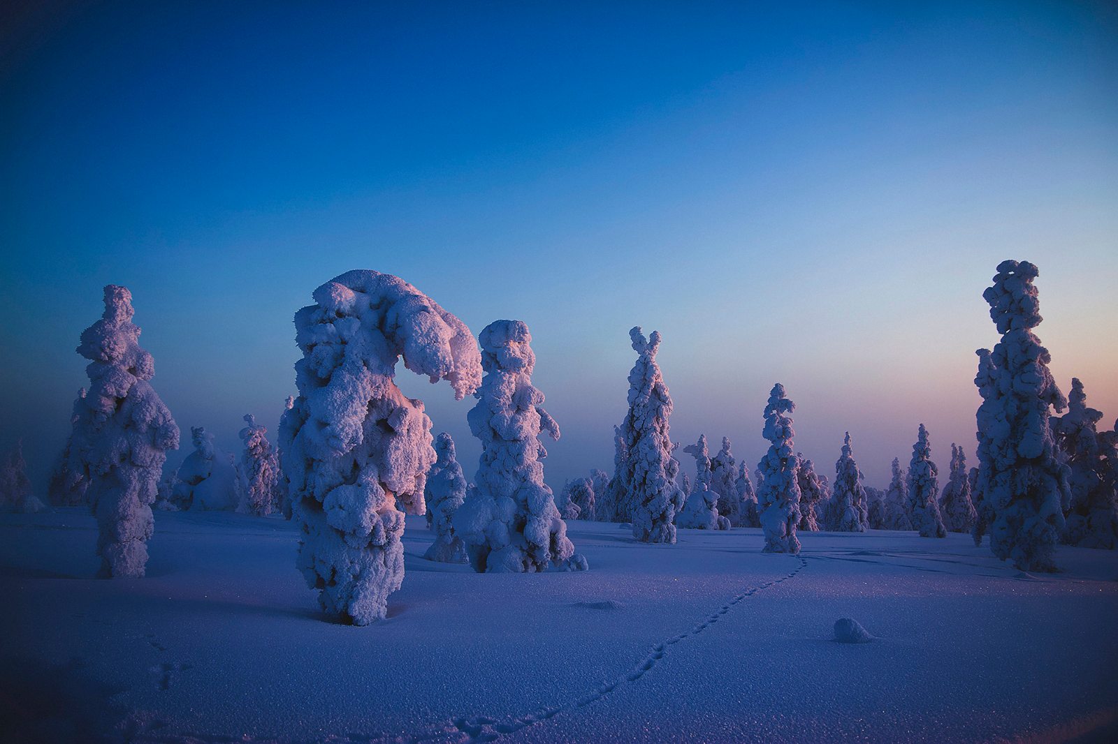 Lumipeitteinen pohjoinen maisema