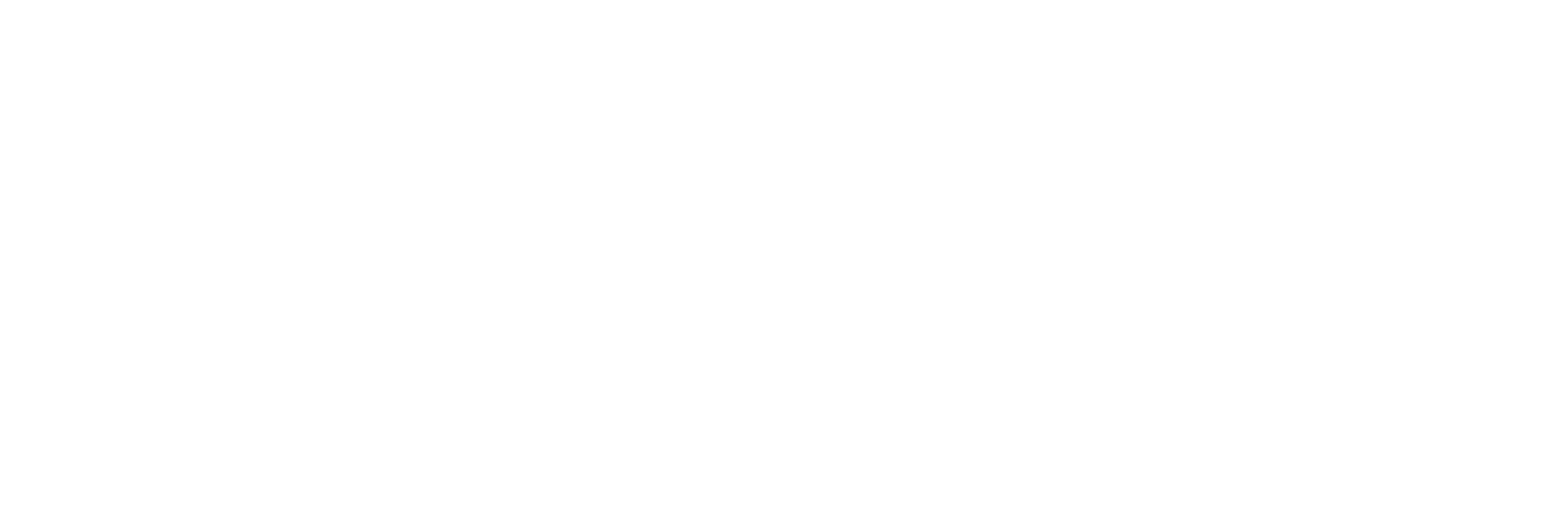 Tidypro-logo valkoisena